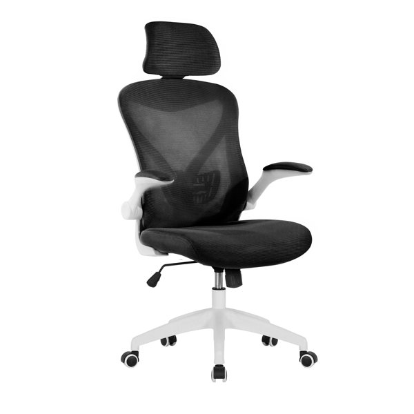 Brayden Studio Aalaysia Ergonomic Mesh Desk Chair Wayfair.co.uk